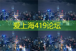 上海新茶工作室：体验上海新茶工作室的“茗茶之旅”，探索独特的品茶文化！