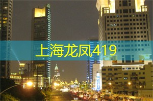 爱上海：我们将为您提供优质的茶叶和专业的品茶服务