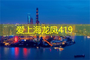 向阳而生:上海的志愿者活动 向阳而生:上海的志愿者活动